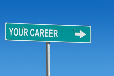 picking a career path picking a career path